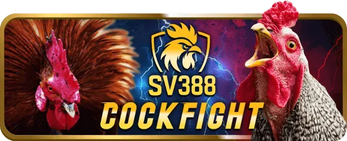 Game Hải Vương Tam Quốc 95vn nhà cái