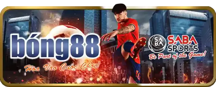 Cá cược có trách nhiệm và an toàn tại 95vn nhà cái